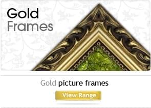 Gold picture frames