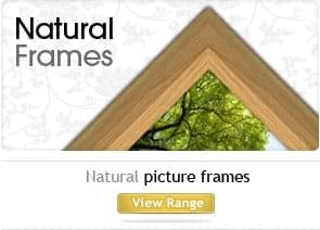 Natural picture frames