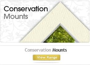 Conservation mounts