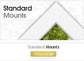 Standard mounts