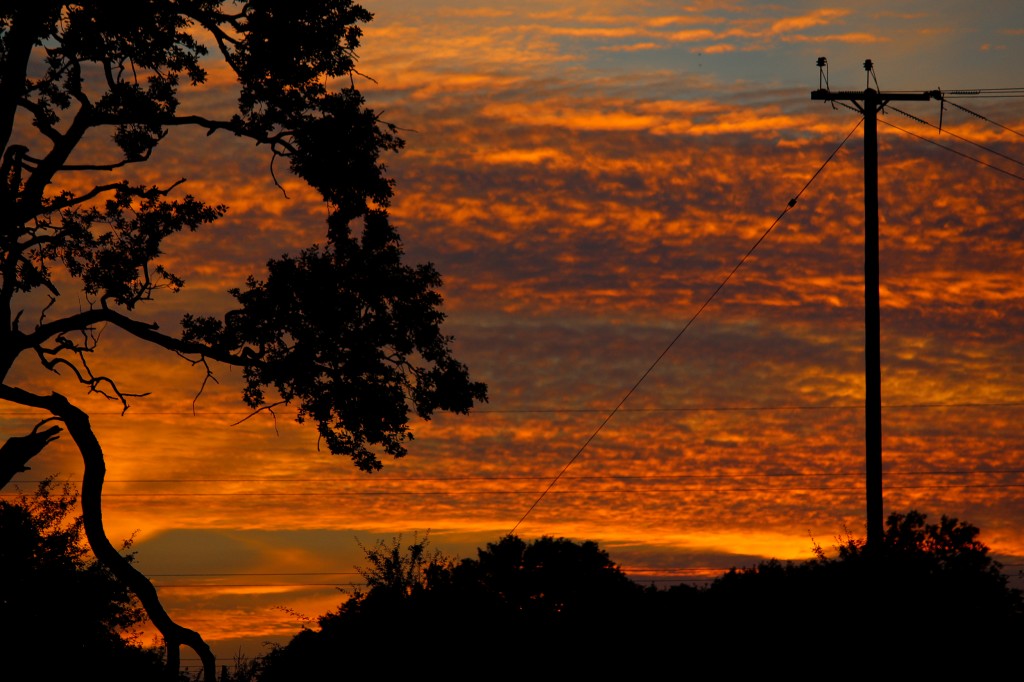 Golden-Horizon-New-Forest-Carl-Mason-1024×682