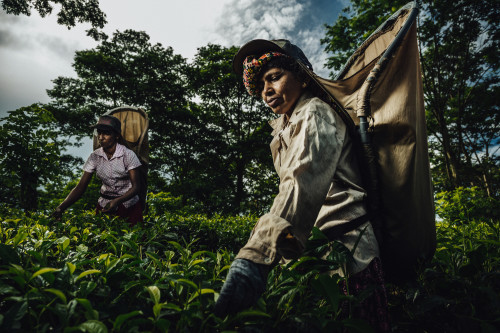 Sri-Lanka+2015_139-2