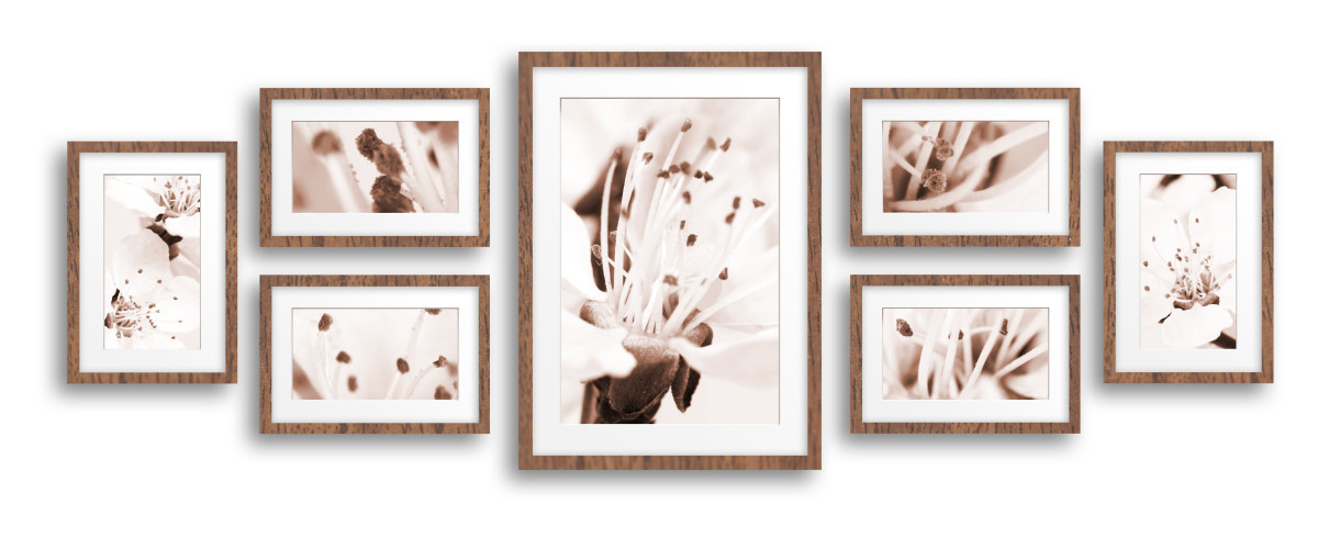 Steps to Collage & Multi Picture Framing