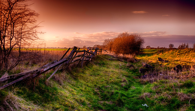 Broken Fence