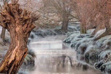 Frosty Richmond Park