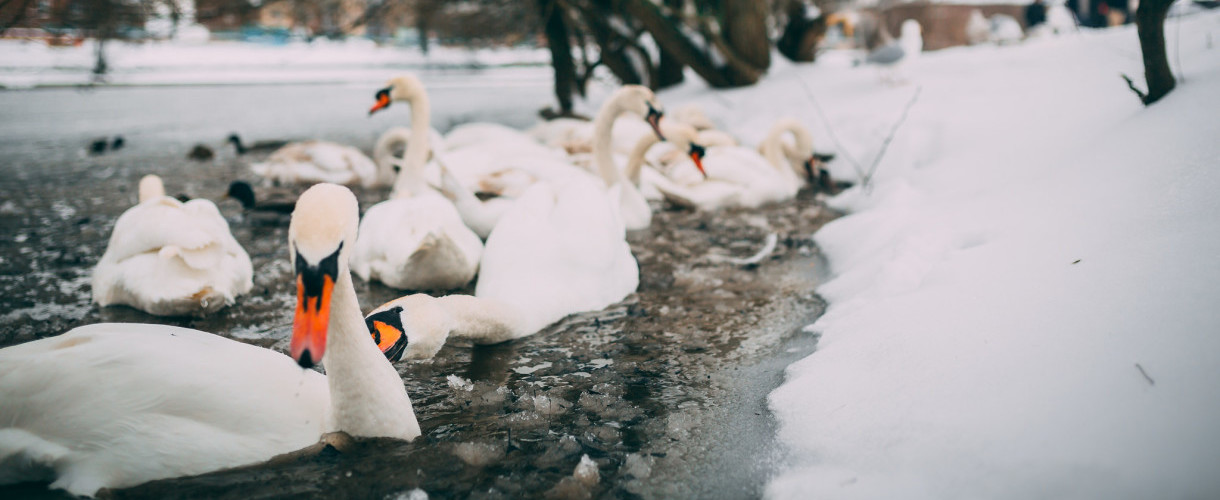 Aaron Golden - Photographer of the Month March '18