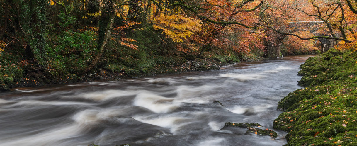 Julian Baird - Photographer of the Month - January '19