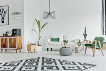 Patterned rug with white sofa, midcentury wooden chair, and house plants