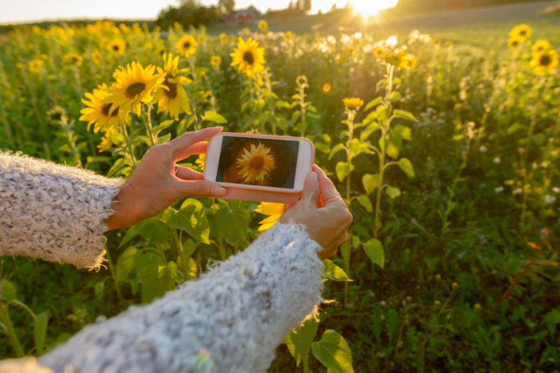 Garden Photography Tips and Ideas