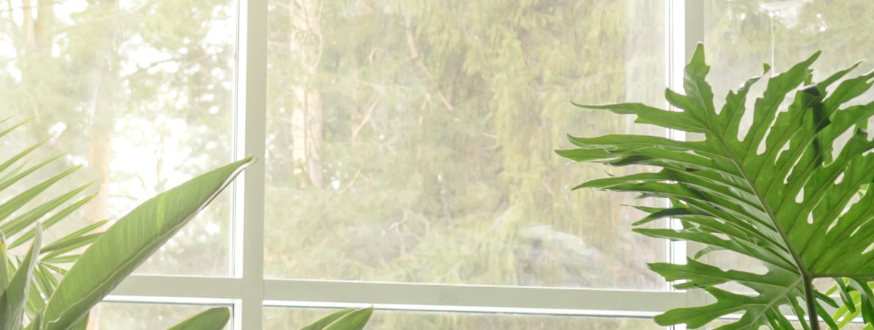 Biophilic Design Tips For Your Bathroom