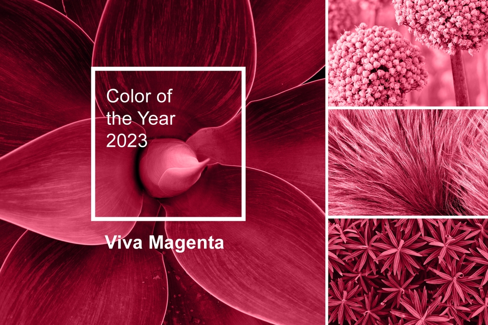 Pantone’s Colour of The Year 2023 ‘Viva Magenta’