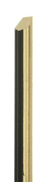 20mm Black with gold line