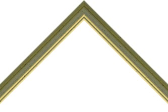 20mm Reverse green double gold line