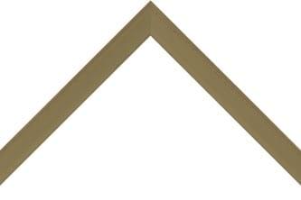 20mm Painted vintage mushroom 9mm pine box