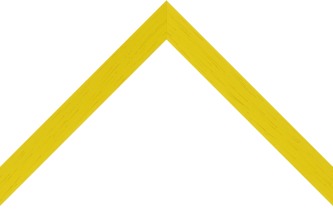 20mm Painted grain marigold yellow