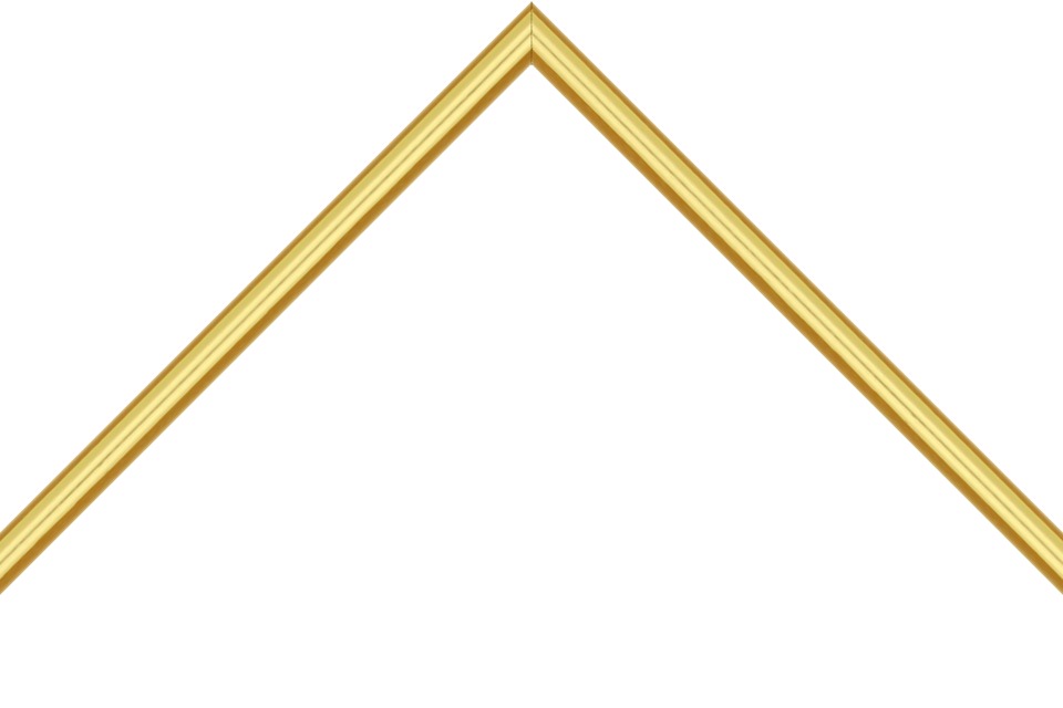 Gold, Antique & Modern Frames | Frames Express