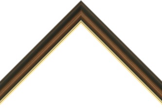 25mm High top brown gold line