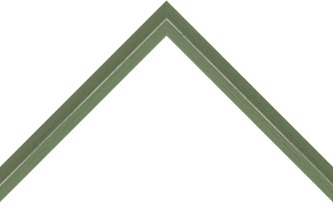 19mm Painted green over brown silver line - 9mm pine box