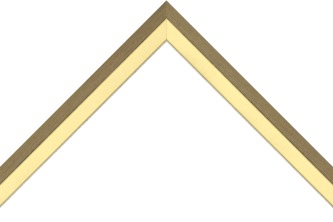 21mm Brush gold / wenge side - 9mm pine box