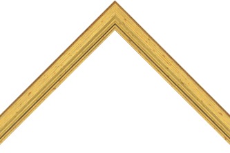 27mm Gold / black side