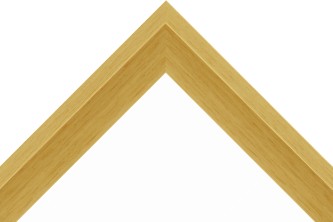 Frame