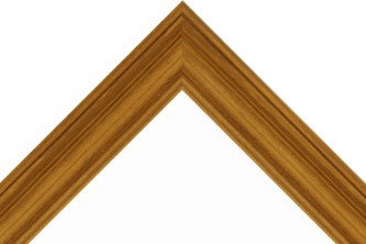 Frame