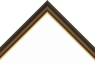 Frame