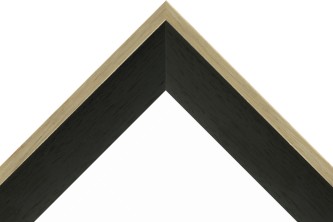 Frame