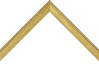 Frame