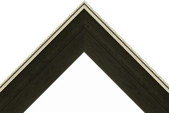 Frame